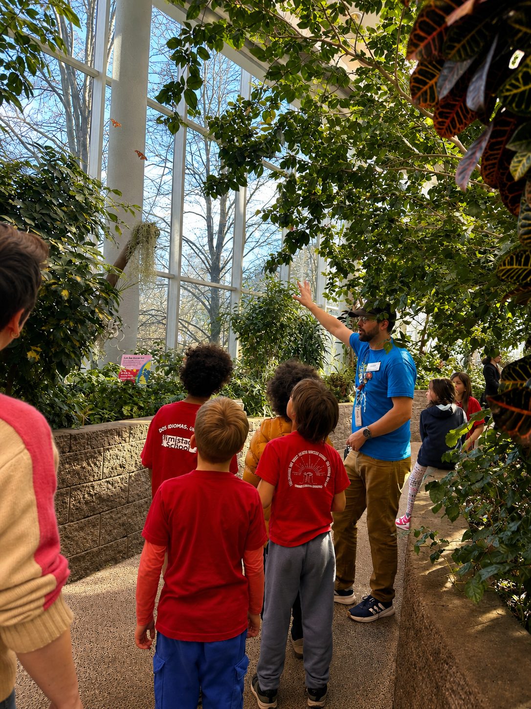 Bright Minds students climbing and exploring on an outdoor field trip