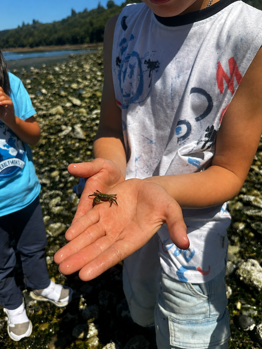 A student holding a tiny crab found at the beach