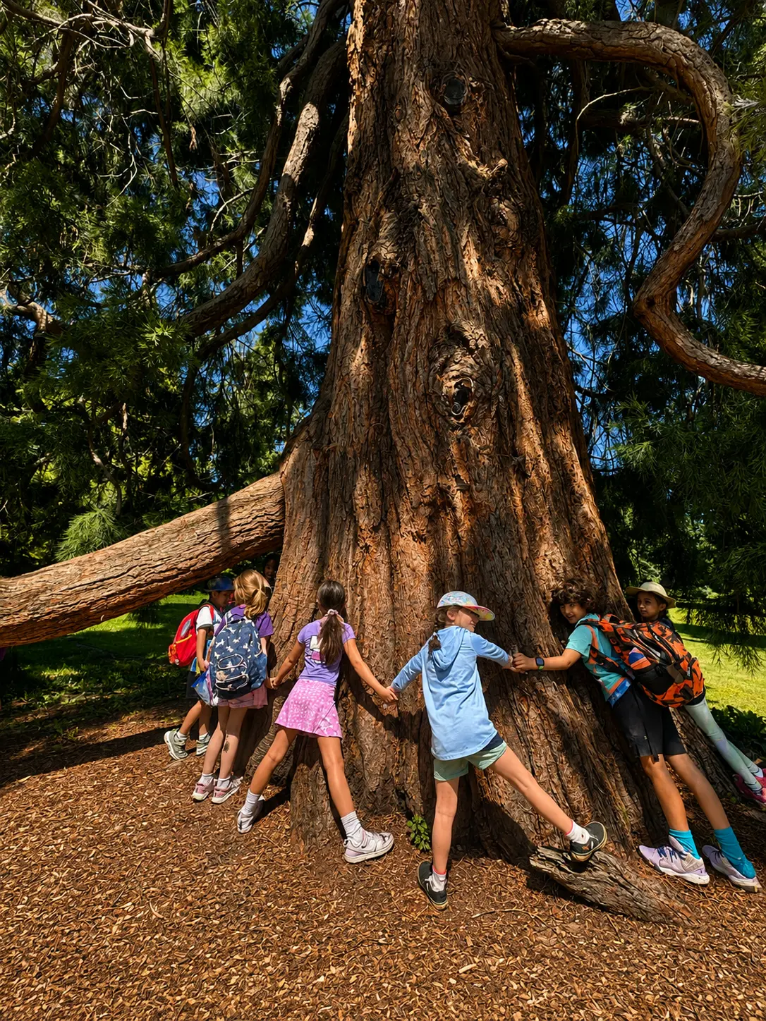 Students gathered around a large tree during an outdoor camp activity