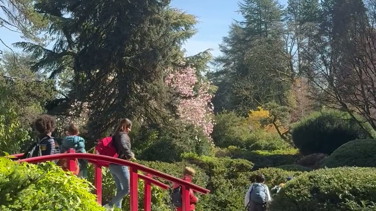 Students walking a wooded trail on a field trip