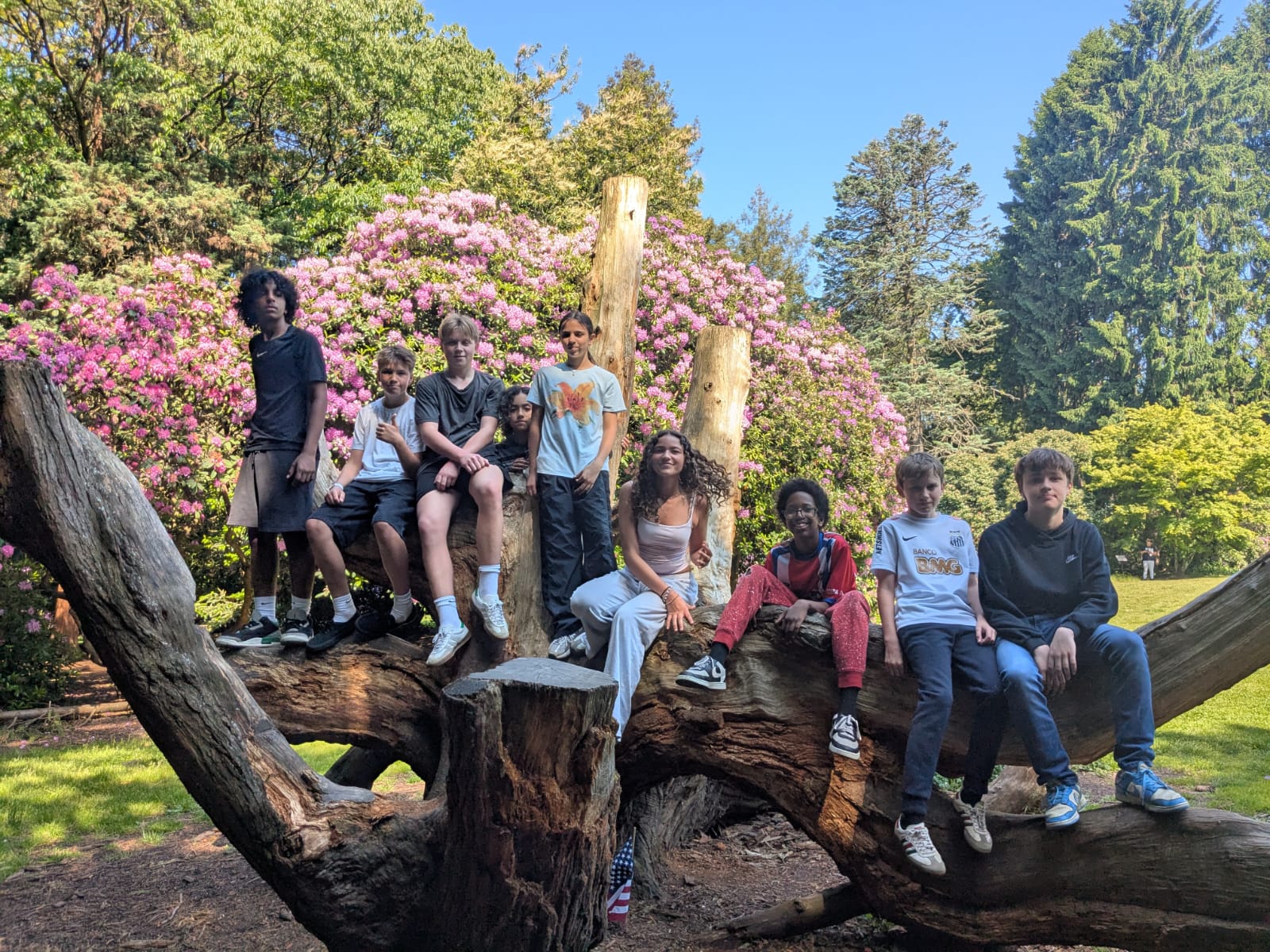 Bridge Years students gathered on a fallen log during an outdoor class expedition