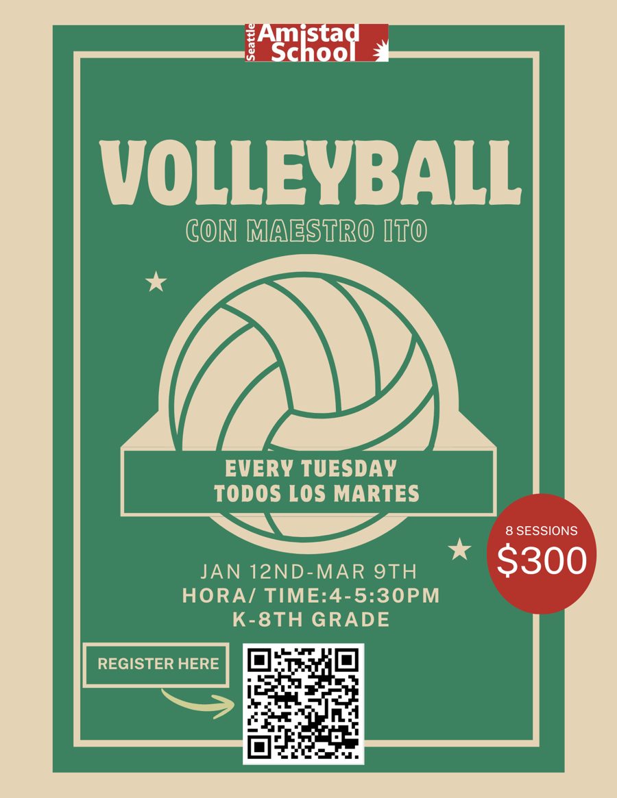 Volleyball flyer